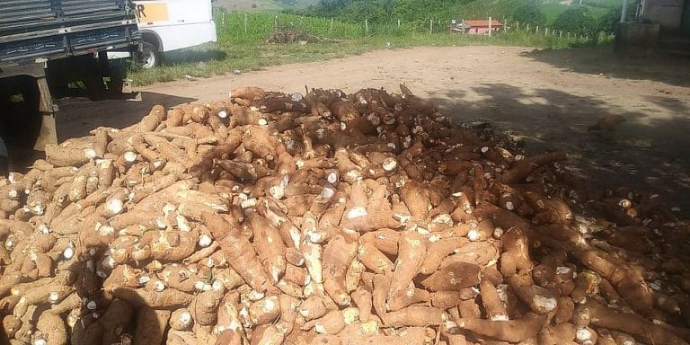 Pequenos produtores sofrem com crise provocada pela pandemia na Bahia