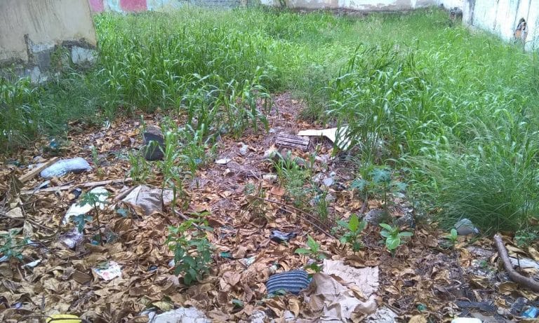 Prefeitura de Guanambi multará proprietários de lotes que não realizarem limpeza