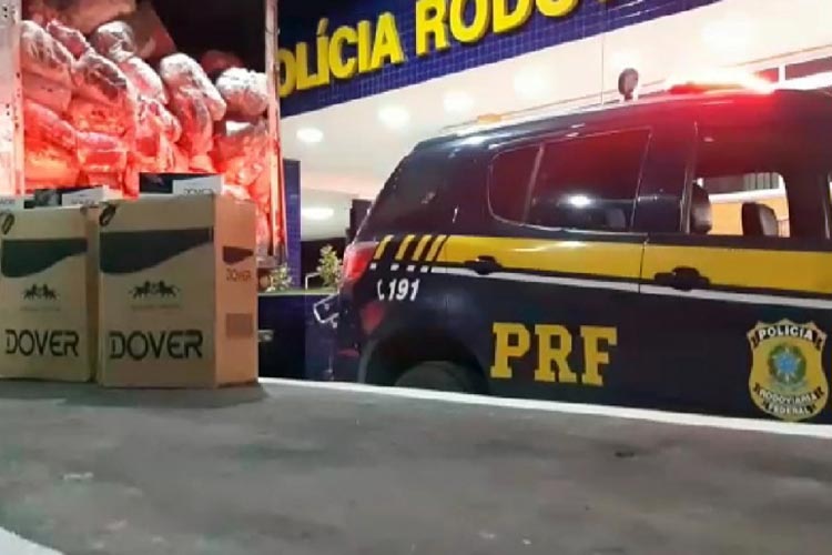 PRF apreende R$ 2 milhões em cigarros contrabandeados em Vitória da Conquista