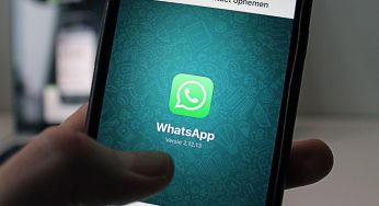 WhatsApp ganha recurso contra fake news