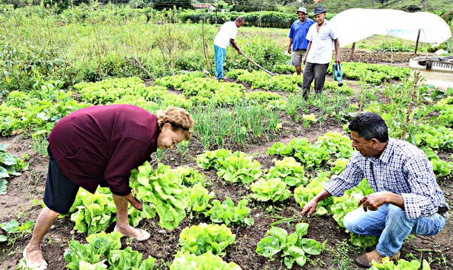 Câmara aprova estender auxílio de R$ 600 a agricultores familiares