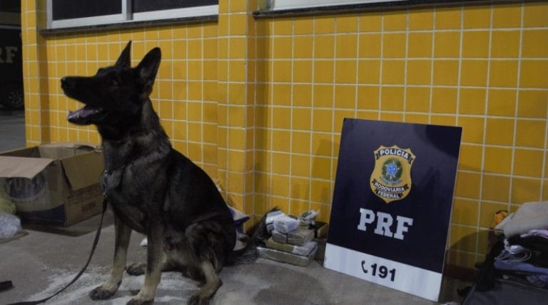 Mulher é presa em Barreiras transportando maconha escondida em sacos de arroz