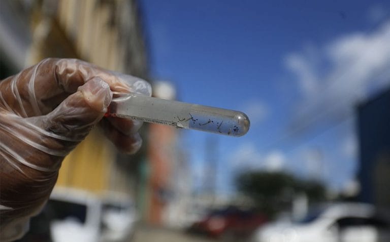 Bahia tem quase metade de todos os casos de chikungunya do Brasil