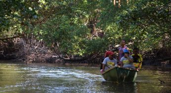 Deputados apresentam projetos para anular decisão que elimina regras de proteção de manguezais