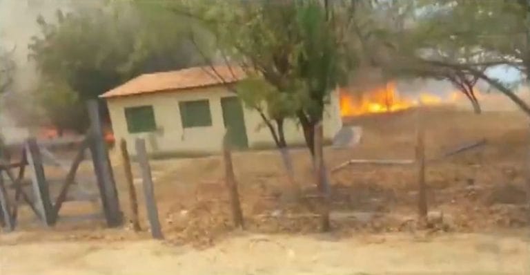 Há mais de uma semana vegetação do interior da Bahia sofre com incêndios