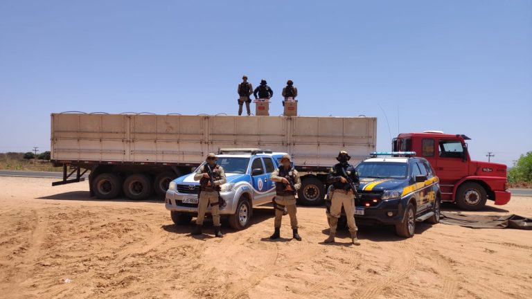Polícia aprende 80 mil maços de cigarros contrabandeados em Palmas de Monte Alto