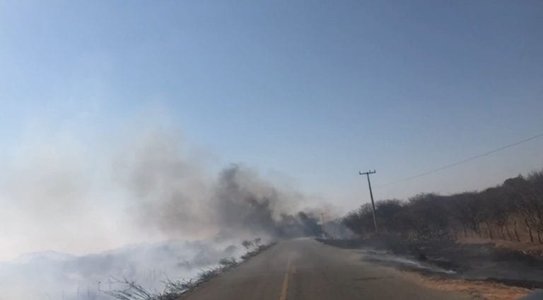 Governo decreta situação de emergência em 77 municípios por conta de incêndios florestais