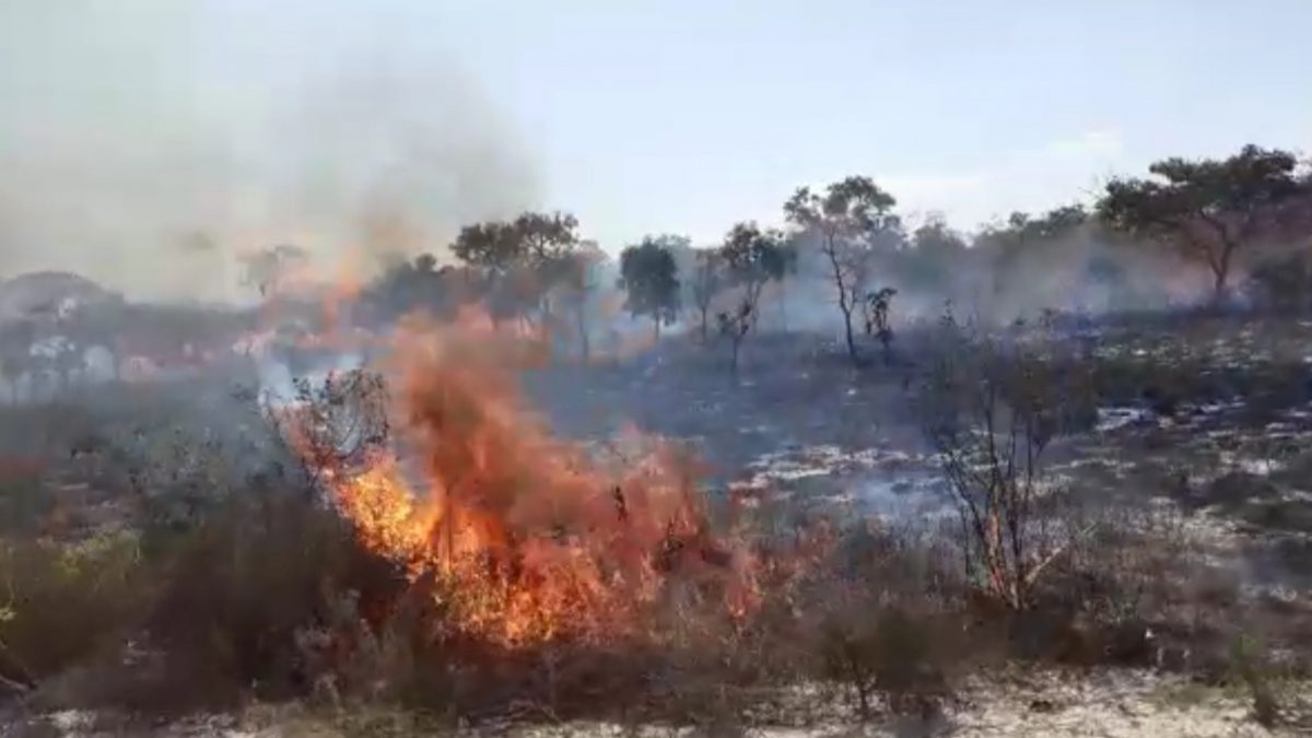 Combate a incêndio no Capão da Água Limpa durou 5 horas; aproximadamente 7  hectares foram consumidos pelo fogo