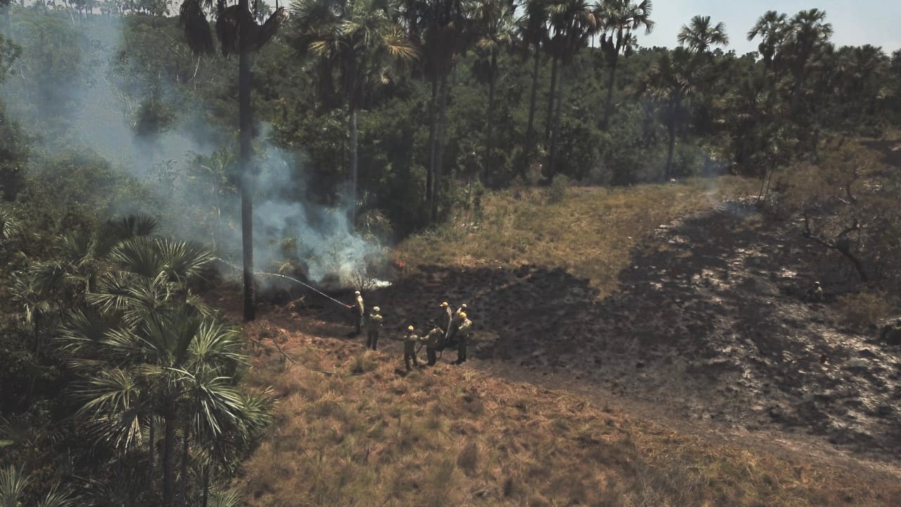 Incêndio iniciado na Bahia avança mais de 60 quilômetros e chega em Minas