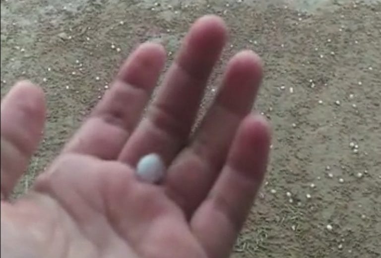 Guanambi registra chuva de granizo neste domingo
