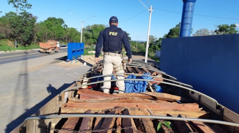 Madeira irregular foi apreendida em Barreiras