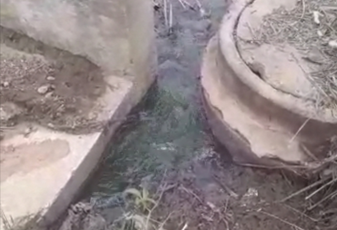 Morador encontra vazamento de esgoto poluindo o riacho do Belém em Guanambi