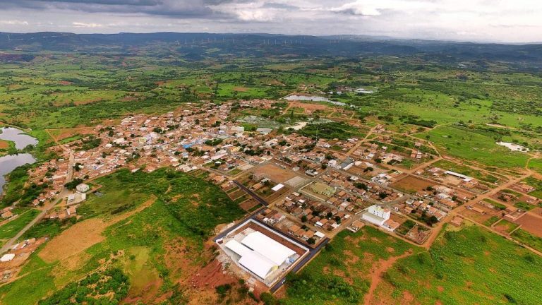 s espécies de curimatã e piau verdadeiro