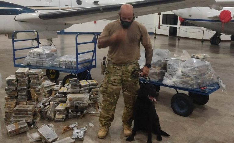 caes cocaína aeroporto de salvador