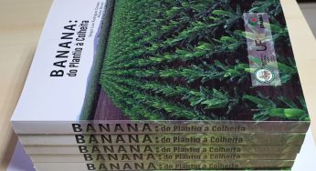 Livro sobre cultivo da bananeira será lançado pela Epamig, IF Baiano e UFV