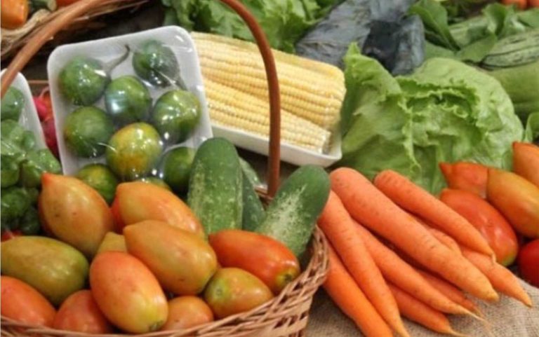 chamada pnae gêneros da agricultura-familiar