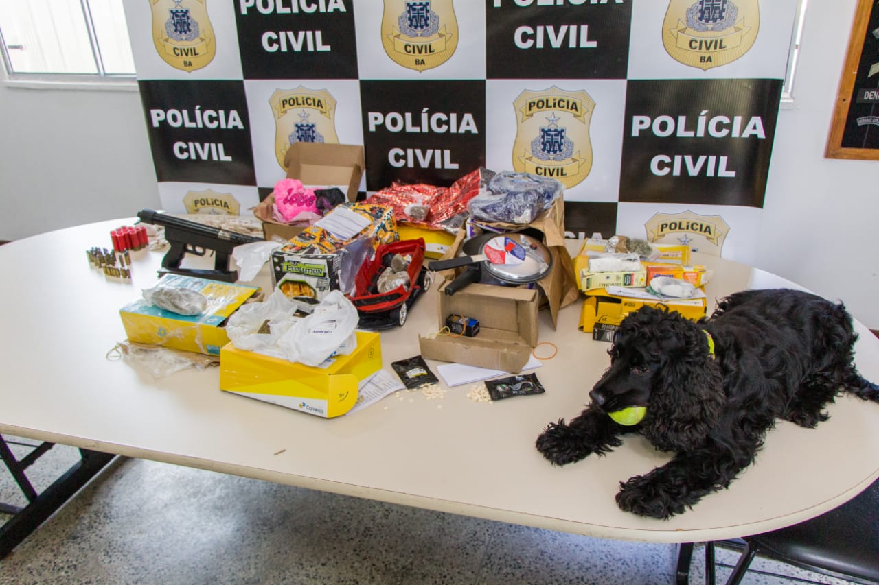 Polícia Civil apreendeu arma e drogas em embalagens dos Correios em Salvador