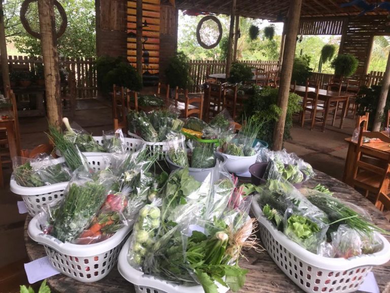 IF Baiano abre inscrições para o V Seminário de Agroecologia e Produção Orgânica do Território Sertão Produtivo
