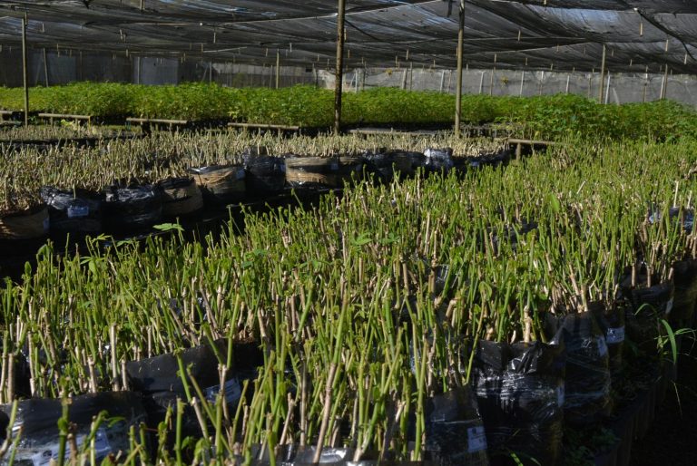 Processo Seletivo da Secretaria de Desenvolvimento Rural da Bahia