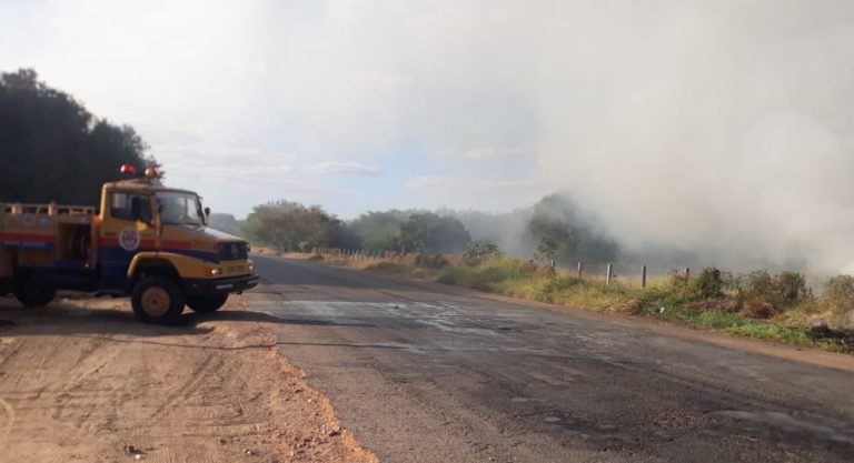 Bombeiros e Brigada Voluntária combateram incêndio às margens da BR-122 em Guanambi