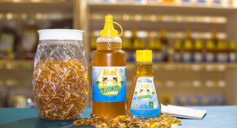Cooperativa da agricultura familiar de Ibotirama aumenta faturamento em 40% com produção de mel