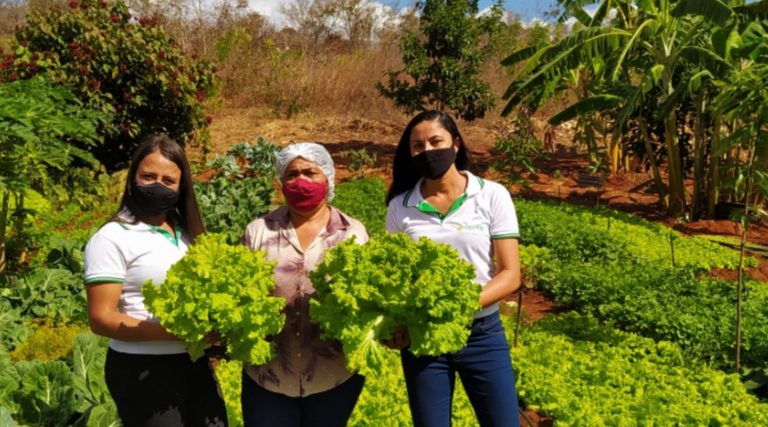 Serviço de assistência técnica promove desenvolvimento para agricultoras familiares do Sertão Produtivo