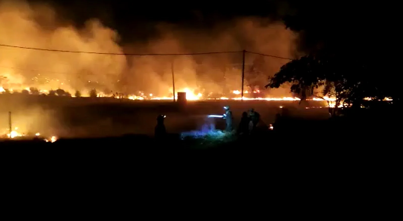 Bombeiros impediram que fogo atingisse granja de suínos em Guanambi