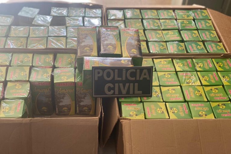 Dezenas de medicamentos falsificados foram apreendidos em Irecê