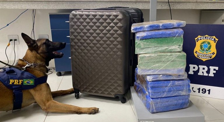 Polícia apreendeu 31 kg de maconha em ônibus de turismo em Vitória da Conquista