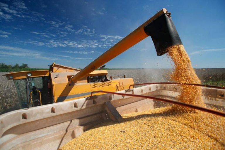 Exportações baianas registram crescimento de 69,5% em agosto