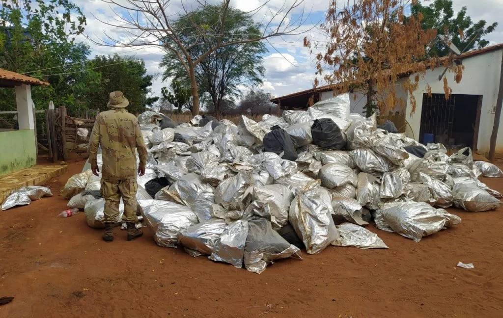 Mais de 8 toneladas de maconha foram apreendidas na região de Barreiras