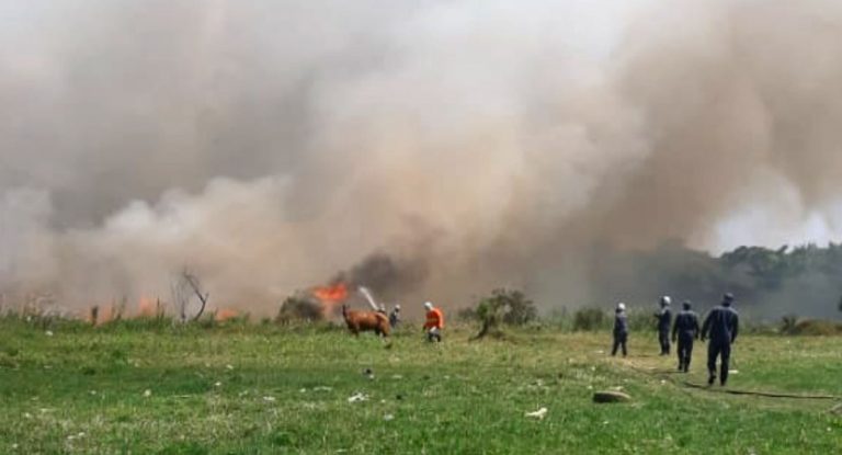Bombeiros controlaram incêndio no Parque Lagoa das Bateias, em Vitória da Conquista