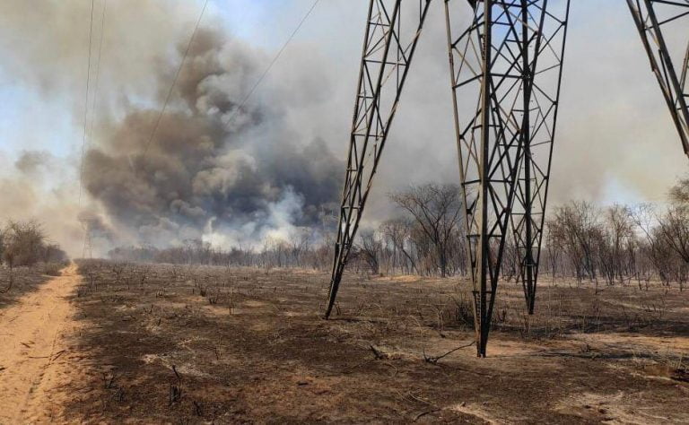Equipes da Neoenergia Coelba auxiliam no combate a incêndios na região de Bom Jesus da Lapa