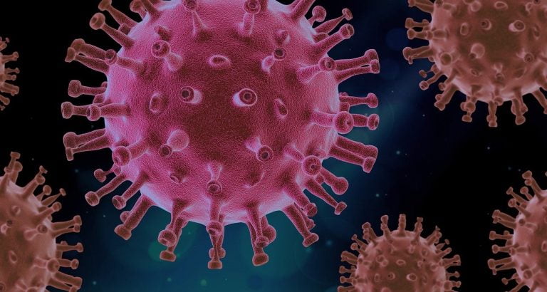 coronavirus gamma