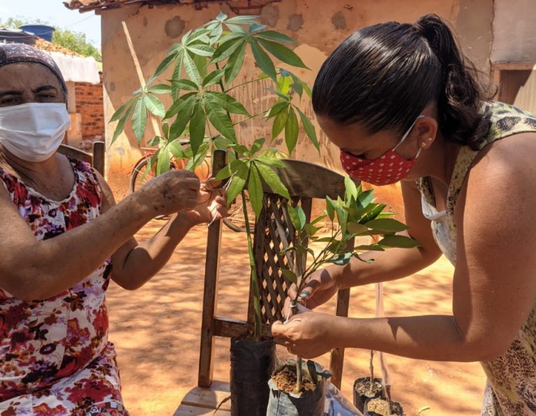 Agricultores familiares do Território Sertão Produtivo participam da ação Adote uma Árvore