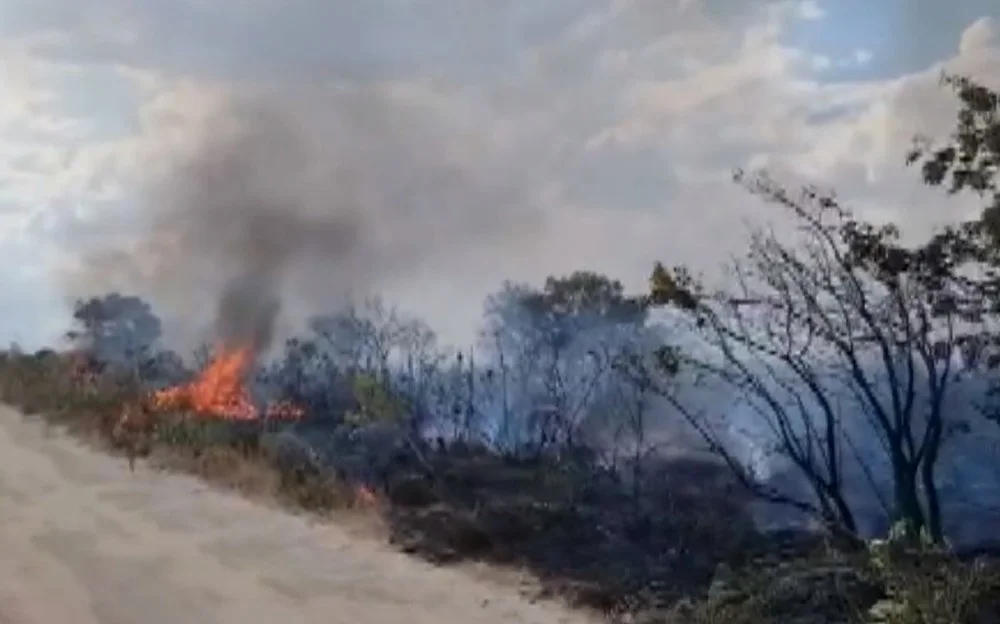 Área de vegetação próximo a bairro residencial pegou fogo em Luís Eduardo Magalhães