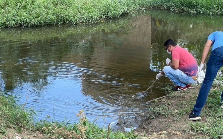 Peixes são encontrados mortos e lama escura foi identificada no Rio Verruga em Vitória da Conquista
