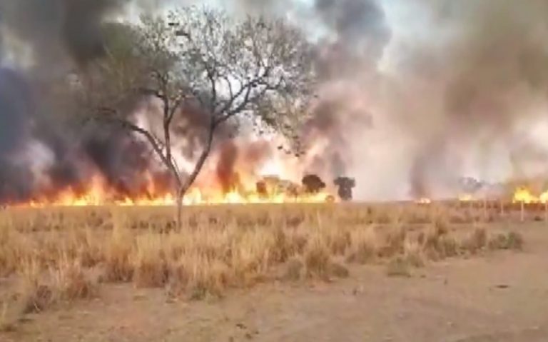 Bombeiros estão há 16 dias combatendo incêndio no oeste da Bahia