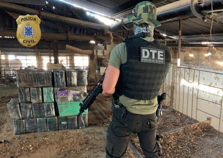 Polícia incinerou quase três toneladas de maconha apreendidas em Vitória da Conquista