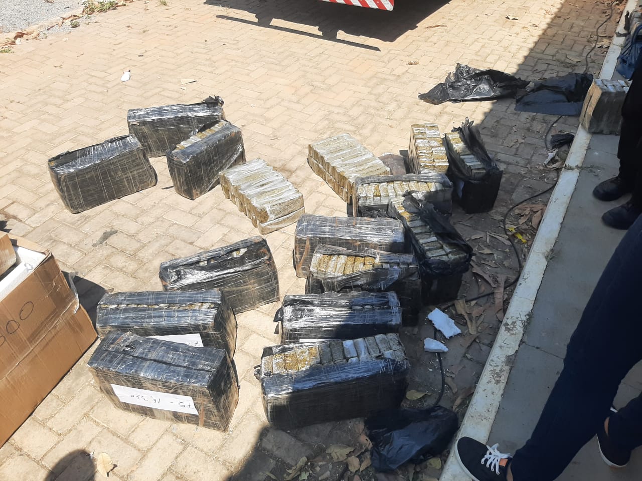 Polícia Civil incinerou 1,3 toneladas de maconha em Barreiras