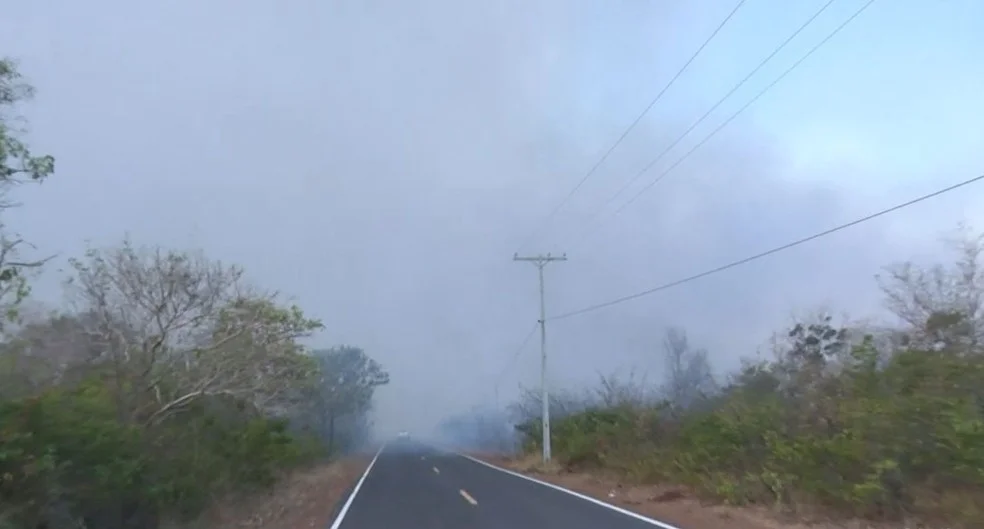 Mais bombeiros foram enviados para combater incêndio na Serra da Bandeira em Barreiras
