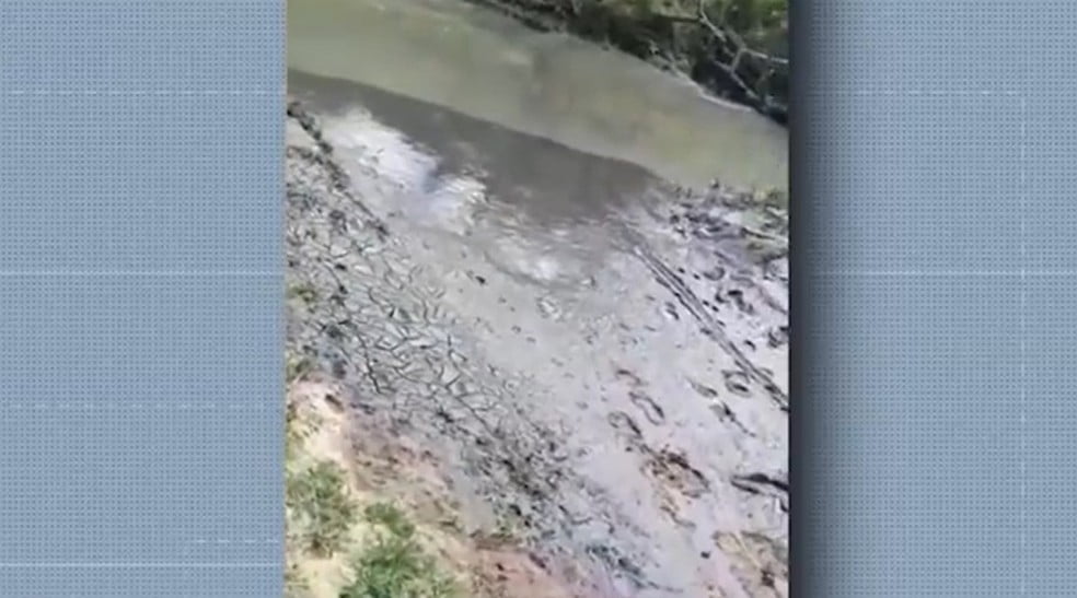 Prefeitura proibiu pescaria no Rio Verruga após surgimento de lama escura e peixes mortos