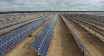 Inema libera implantação de segundo parque solar em Caetité
