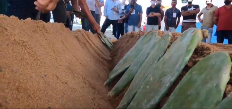 Mais de mil produtores receberam capacitação sobre cultivo intensivo da Palma nas regiões de Guanambi e Vitória da Conquista