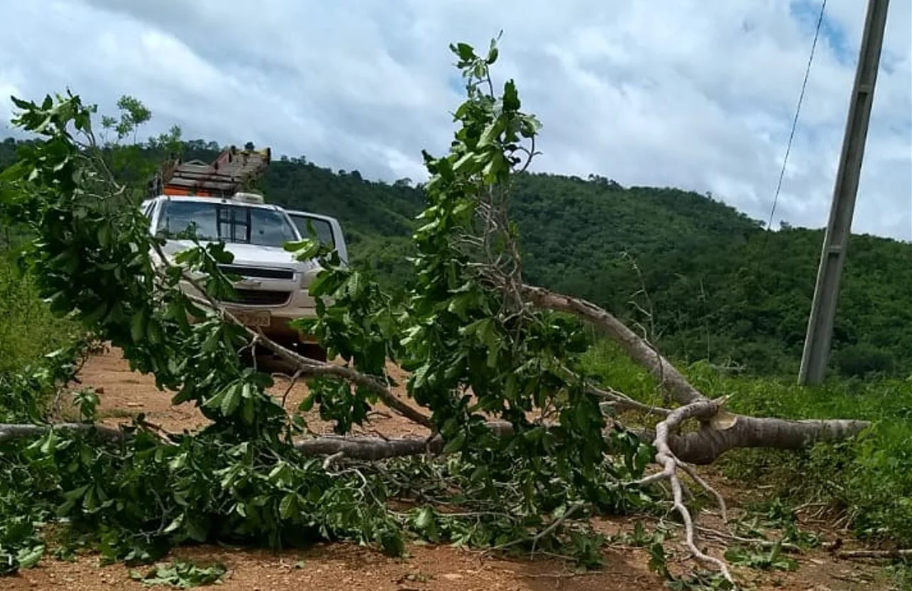 Temporais dos últimos dias causaram acidentes na rede elétrica na região de Vitória da Conquista, concessionária aumentou efetivo