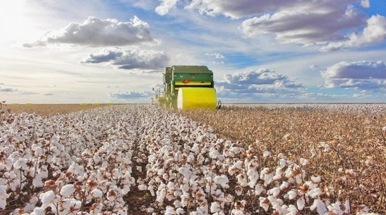 Fazenda abre 12 vagas para técnicos agrícolas em Luís Eduardo Magalhães
