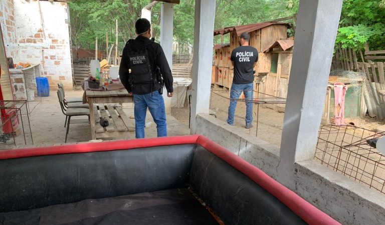 MP denunciou suspeito investigado por organizar rinhas de galo em Jequié