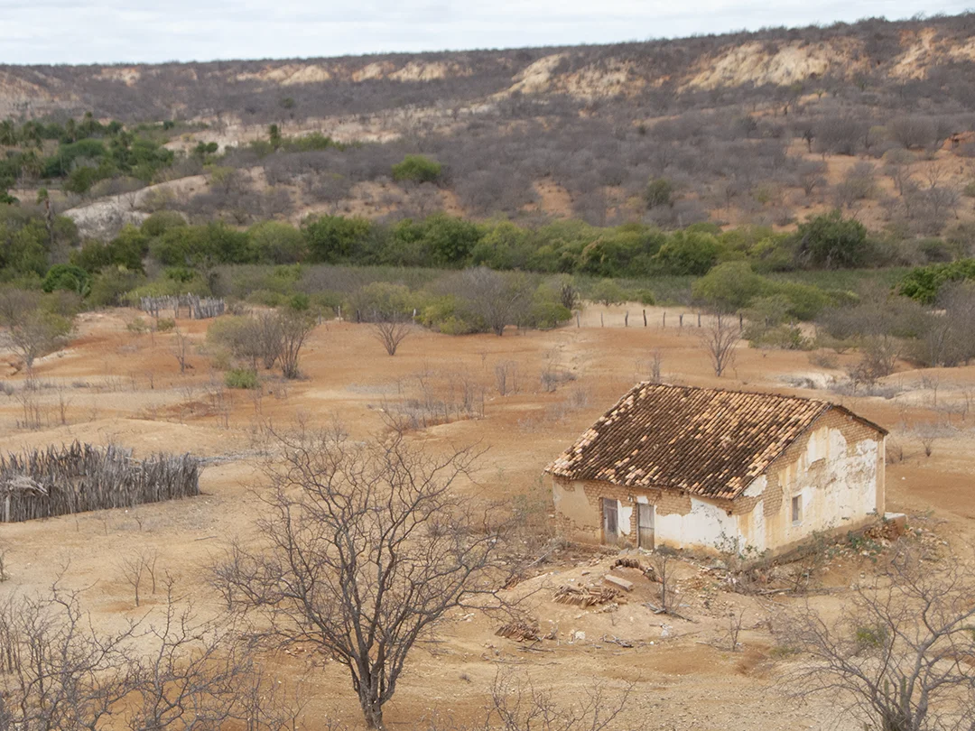 Semiárido brasileiro pode ficar ainda mais seco, quente e desertificado, conclui pesquisa