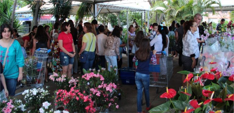 Feira de Flores de Holambra de Vitoria da Conquista