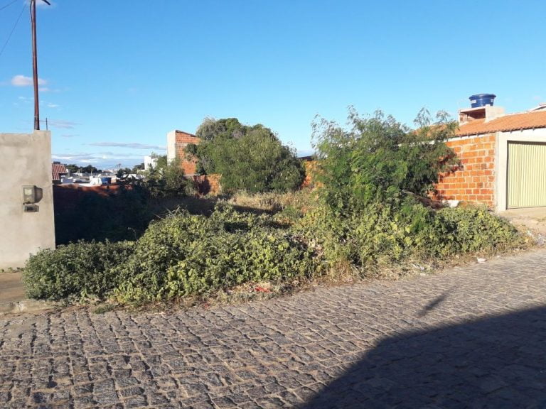 Prefeitura de Guanambi dará prazo de 30 dias para limpeza de lotes sob pena de execução judicial de débitos
